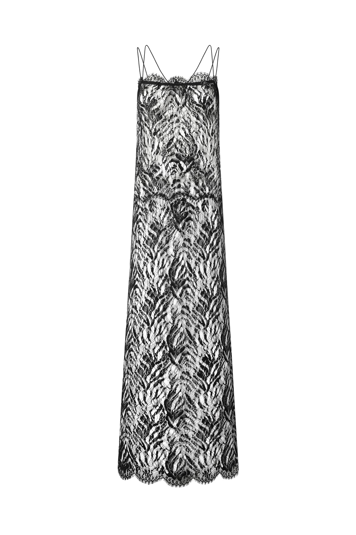 Midnight Veil Dress