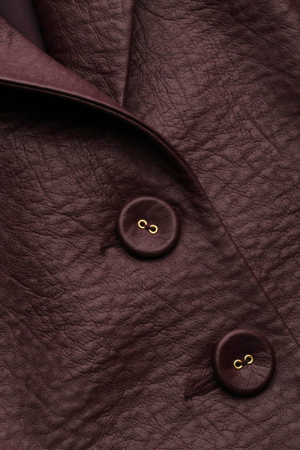 Raven Burgundy Jacket